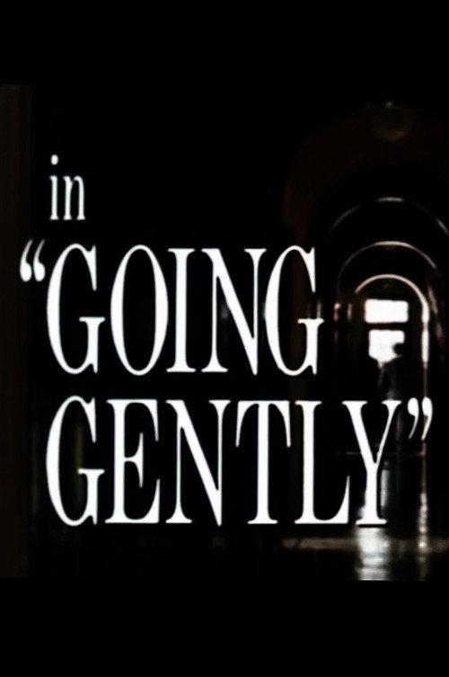 Going Gently 1981 official movie poster