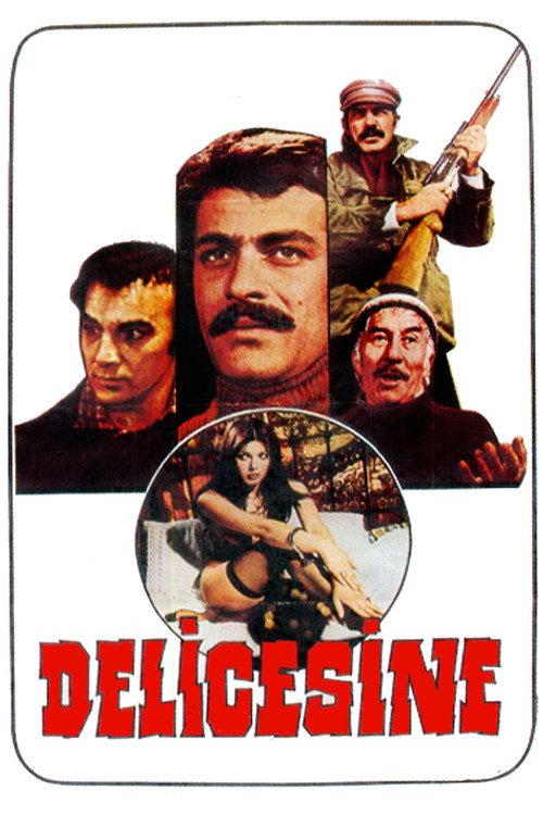 Delicesine 1976 official movie poster