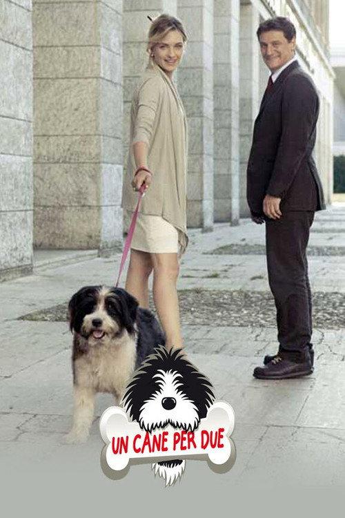 Un cane per due 2010 official movie poster