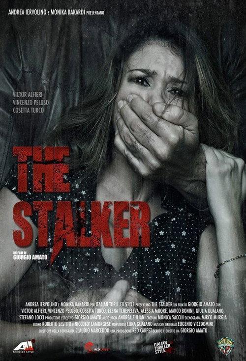 The Stalker 2013 official movie poster