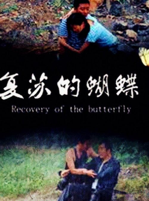 Recovery of the Butterfly 2014 official movie poster