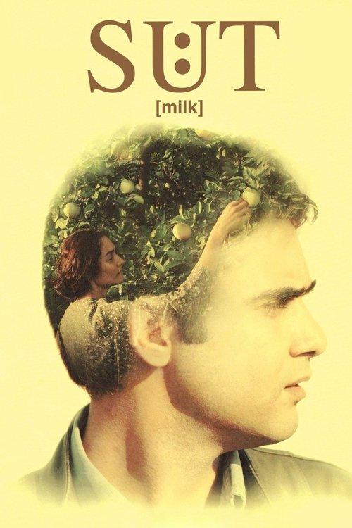 Milk 2009 official movie poster