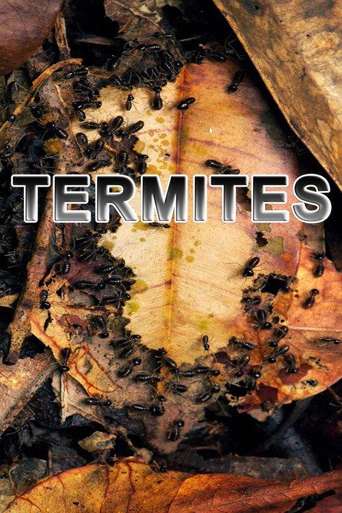 Termites: The Inner Sanctum 2012 official movie poster