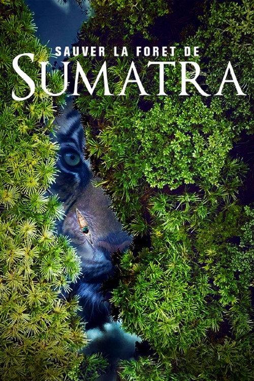 Save the Sumatran Forest 2019 official movie poster