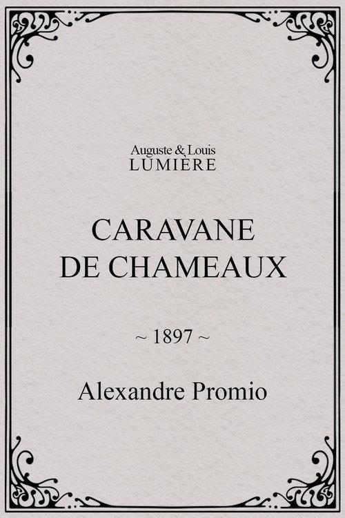 Caravane de chameaux 1897 official movie poster