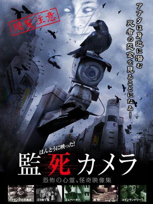 It Really Reflected! Captive Camera 2012 official movie poster