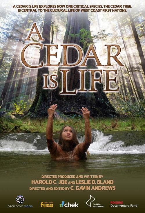A Cedar Is Life  official movie poster