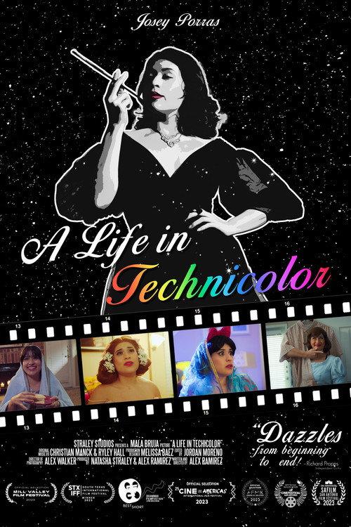 A Life in Technicolor 2022 official movie poster