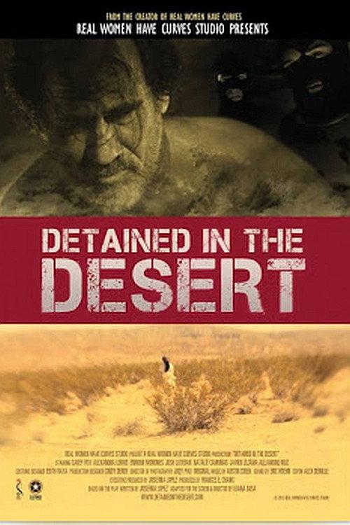 Detained in the Desert 2013 official movie poster
