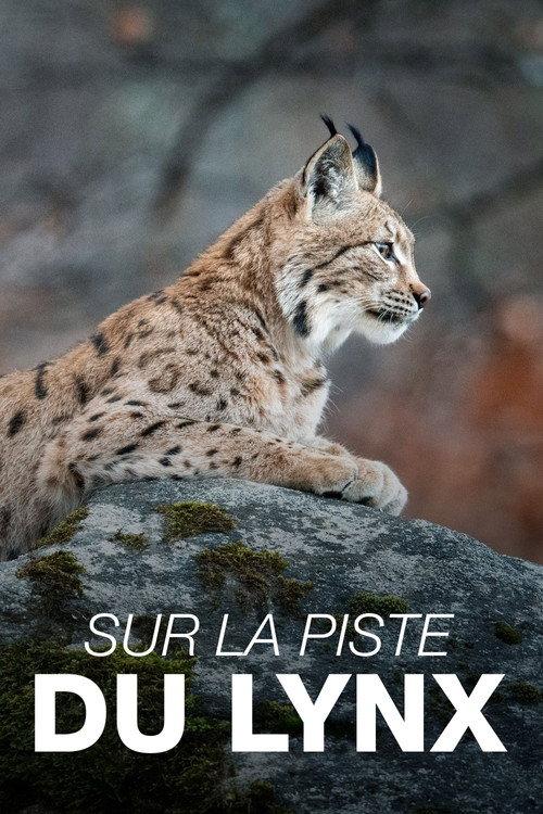 Sur la piste du lynx 2023 official movie poster