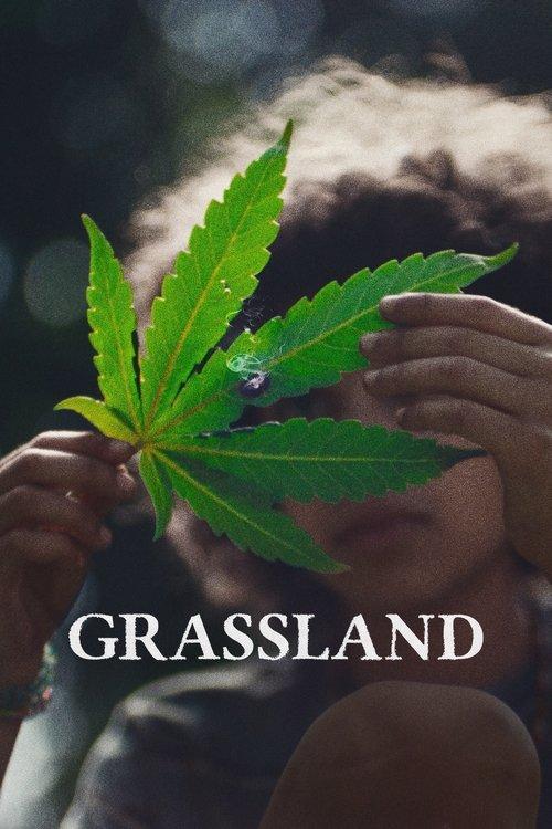 Grassland 2025 official movie poster