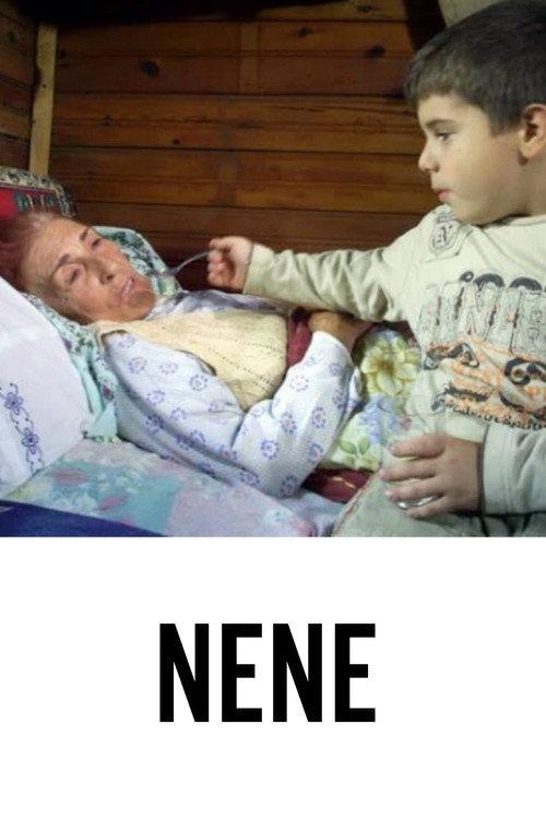 Nene 2007 official movie poster