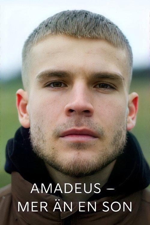 Amadeus - more than a son 2021 official movie poster