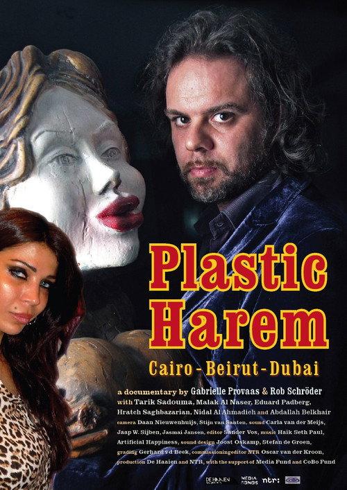 Plastic Harem 2014 official movie poster