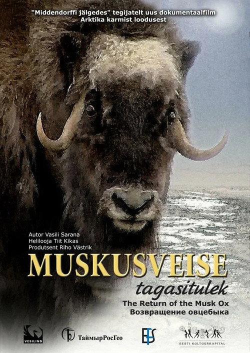 The Return of the Musk Ox 2008 official movie poster