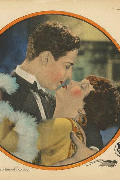 The Perfect Sap 1927 official movie poster