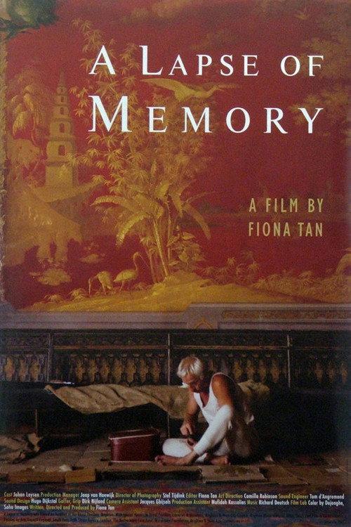 A Lapse of Memory 2007 official movie poster