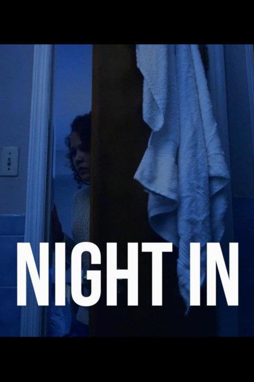 Night In 2017 official movie poster