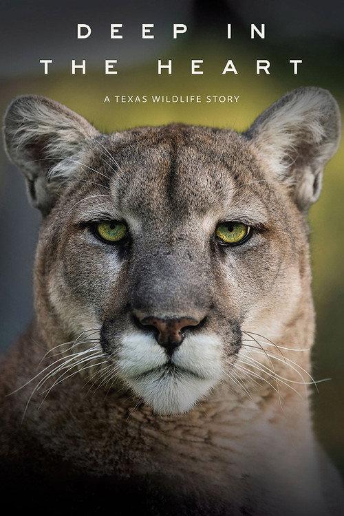 Deep in the Heart: A Texas Wildlife Story 2022 official movie poster