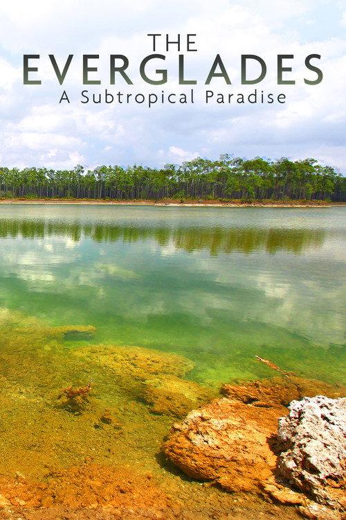 National Parks Exploration Series: The Everglades 2011 official movie poster