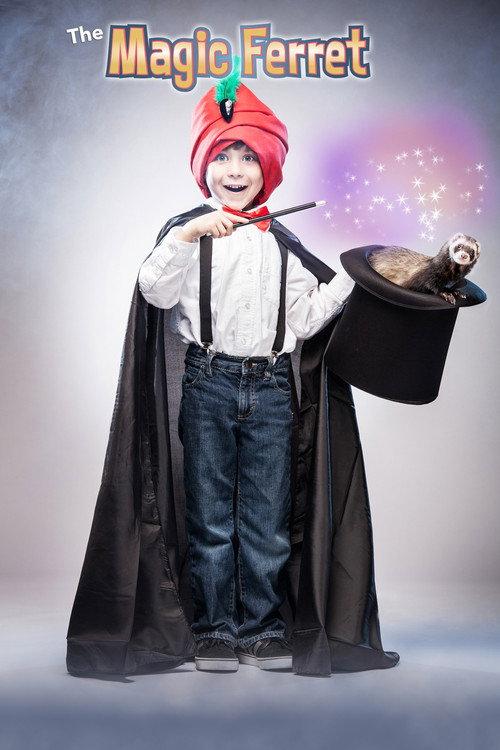 The Magic Ferret 2013 official movie poster