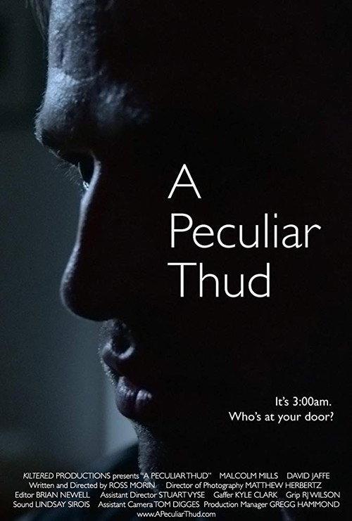 A Peculiar Thud 2017 official movie poster