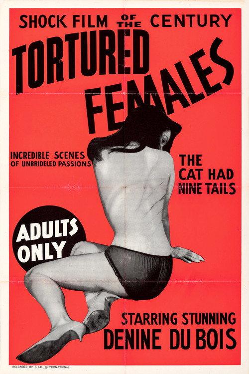 Tortured Females 1965 official movie poster