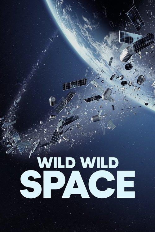Wild Wild Space 2024 official movie poster