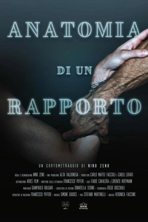Anatomy of a Relationship 2022 official movie poster