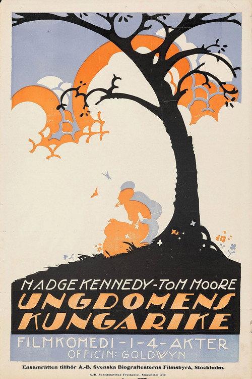 The Kingdom of Youth 1918 official movie poster