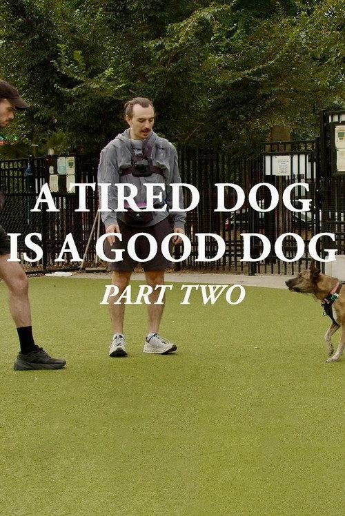 A Tired Dog is a Good Dog, Part Two 2025 official movie poster
