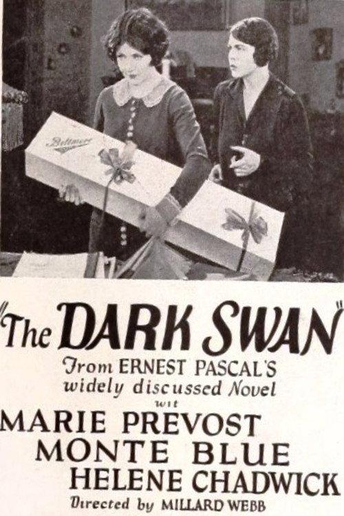 The Dark Swan 1924 official movie poster