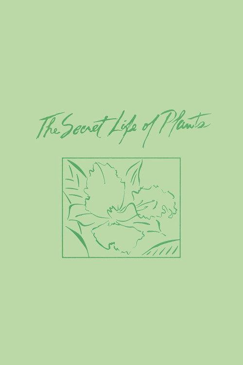 The Secret Life of Plants 1978 official movie poster