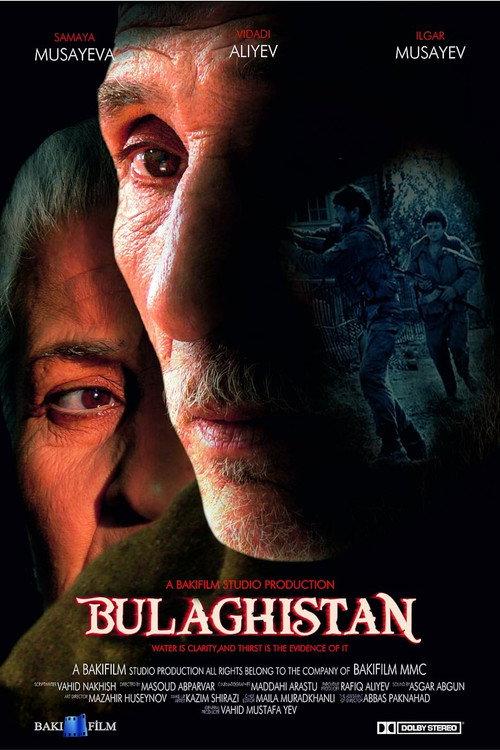 Bulaqistan 2009 official movie poster
