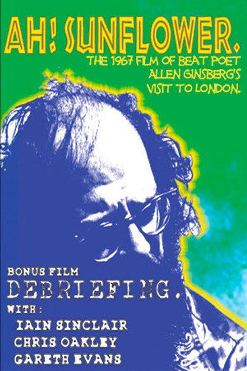 Ah, Sunflower 1967 official movie poster