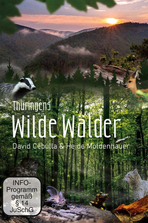 Wild Forests 2022 official movie poster