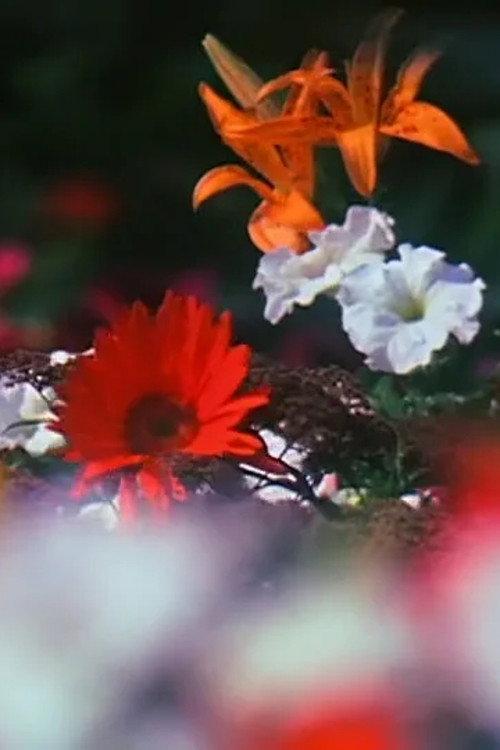 Fleurs 1980 official movie poster