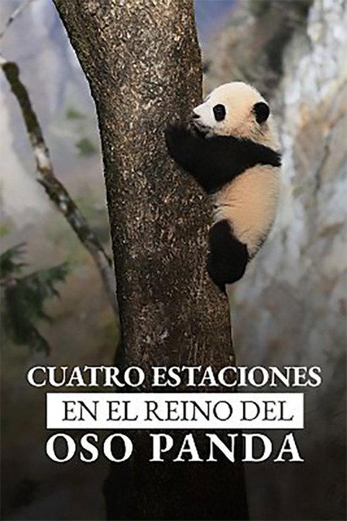 Four Seasons in the giant Panda’s kingdom 2022 official movie poster