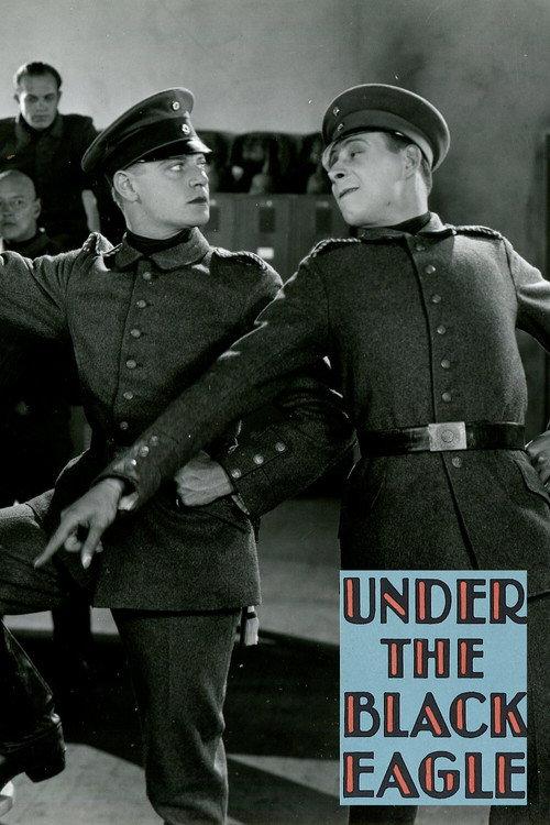 Under the Black Eagle 1928 official movie poster