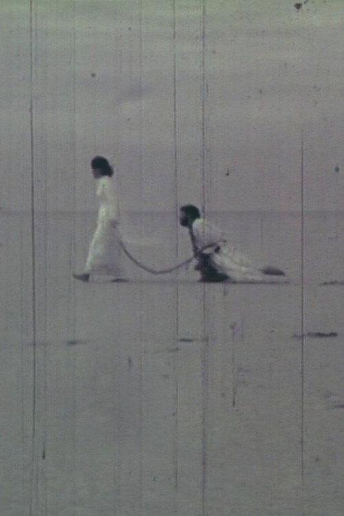 This Coming and Going 1975 official movie poster