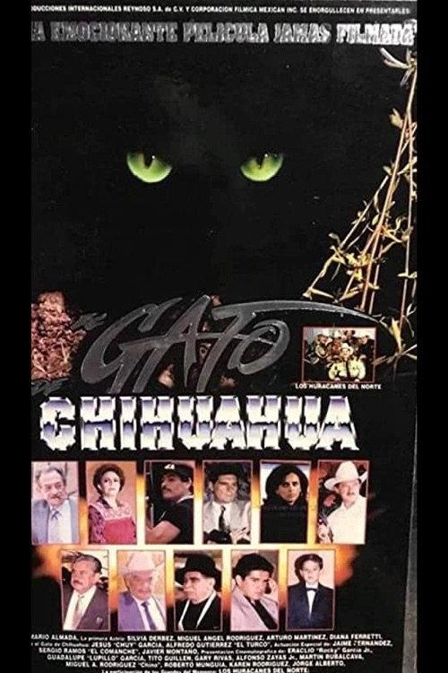 El gato de Chihuahua 1996 official movie poster
