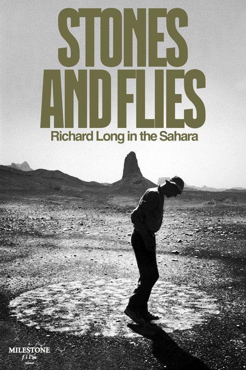 Stones and Flies: Richard Long in the Sahara 1988 official movie poster