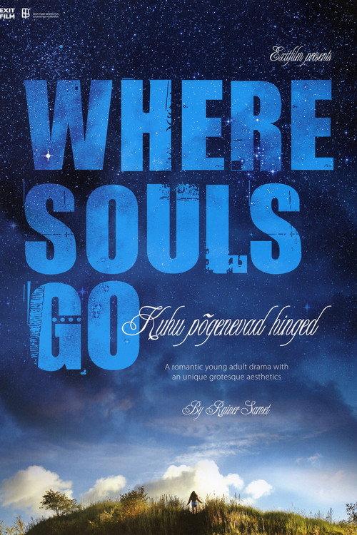 Where Souls Go 2007 official movie poster