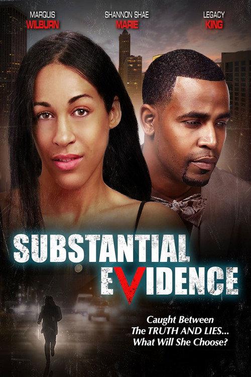 Substantial Evidence 2023 official movie poster