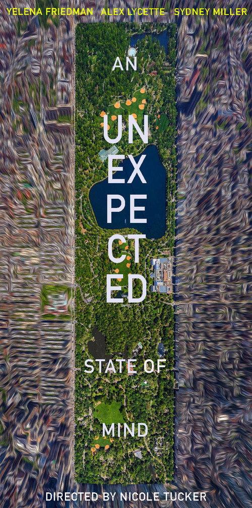 An Unexpected State of Mind 2019 official movie poster