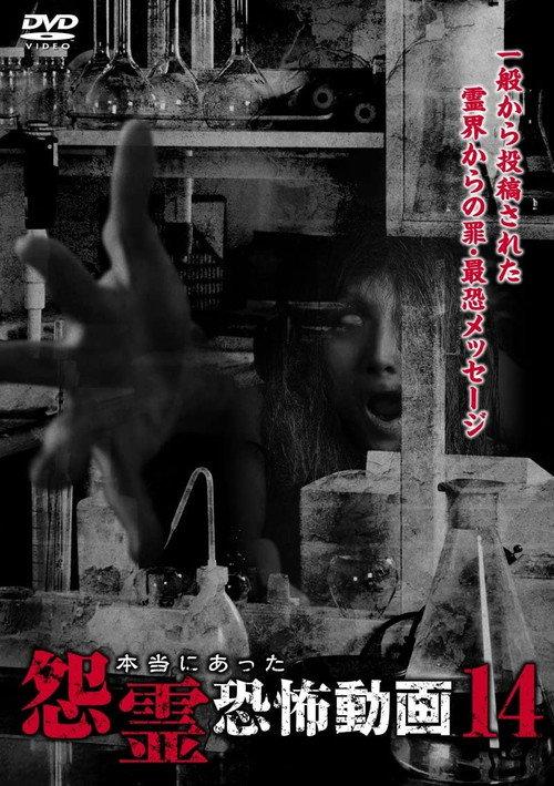 Real Vengeful Ghost Horror Video 14 2015 official movie poster