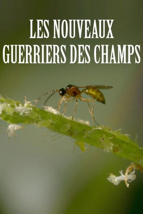 Les nouveaux guerriers des champs 2016 official movie poster