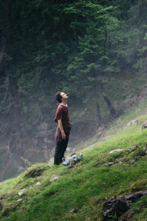 Der Wanderer 2018 official movie poster
