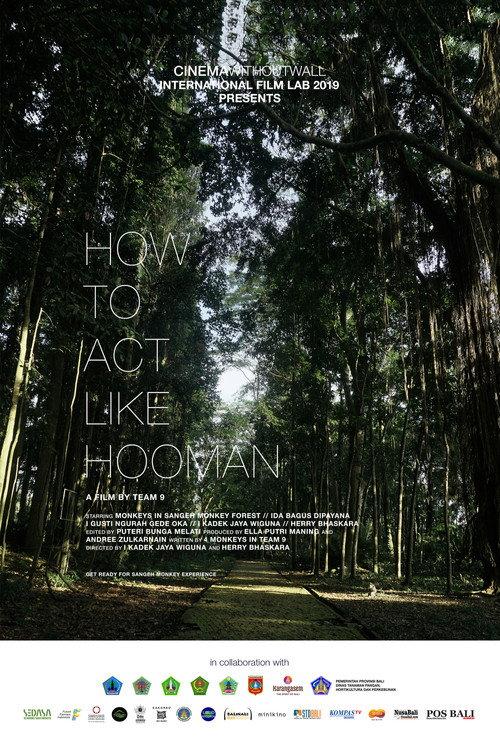 How To Act Like Hooman 2019 official movie poster