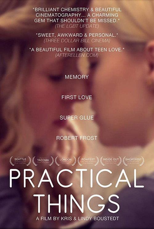 Practical Things 2013 official movie poster